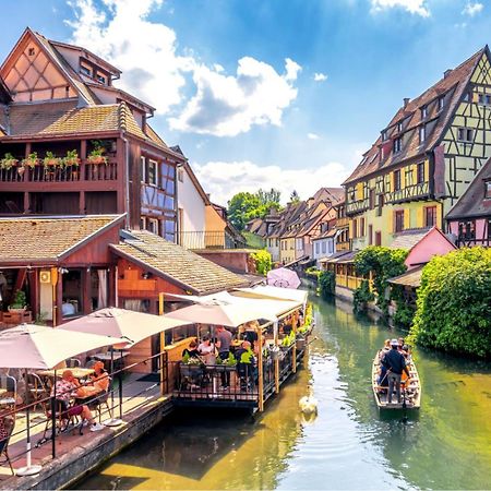 Au Pied De La Cathedrale Daire Colmar Dış mekan fotoğraf